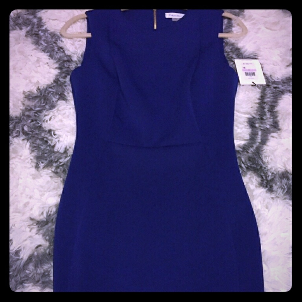 Calvin Klein Dress (new)